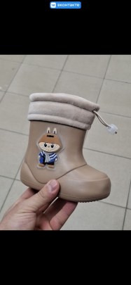 Сапоги