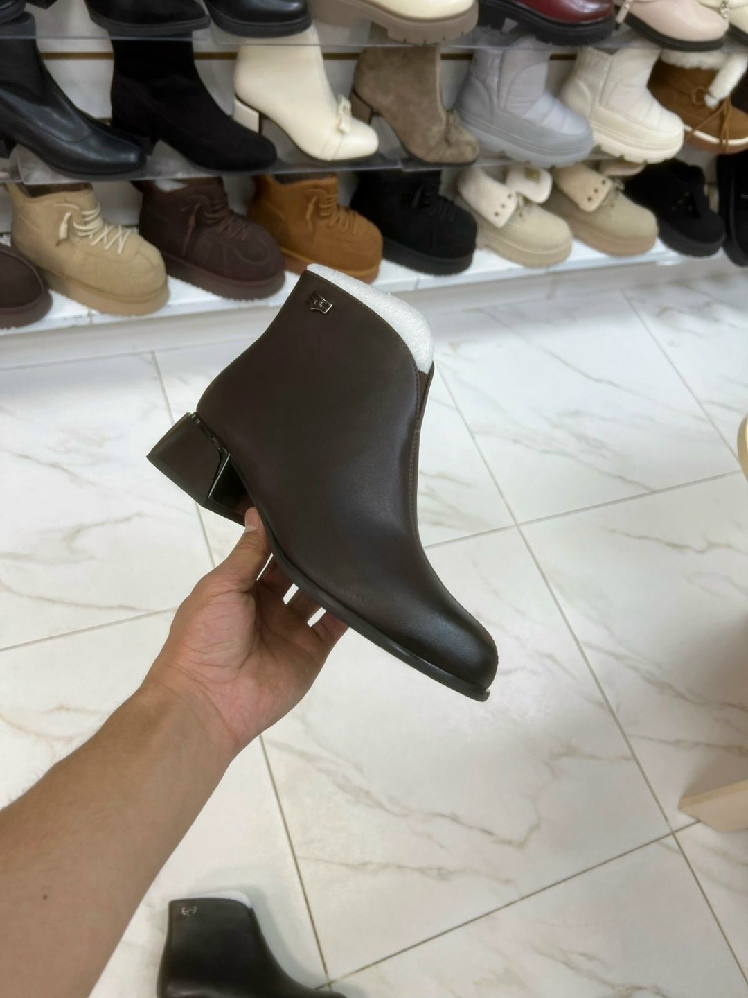 ,ботильоны женские, женская,ботильоны женские covani,обуви