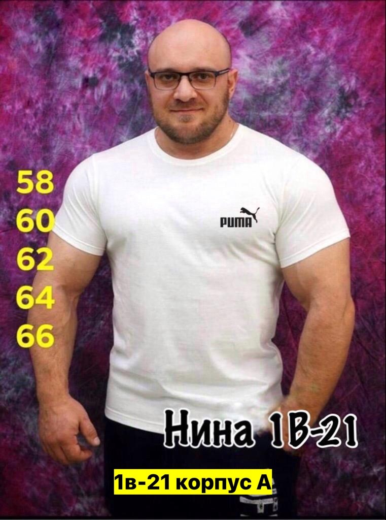 мужская футболка великан,футболка великан,футболки мужские,футболка inferno style, больших размеров