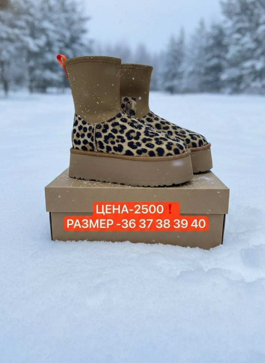 леопардовые угги ugg,женские угги,угги леопардовые ugg зимние,леопардовые угги,ugg женские угги леопардовые на платформе