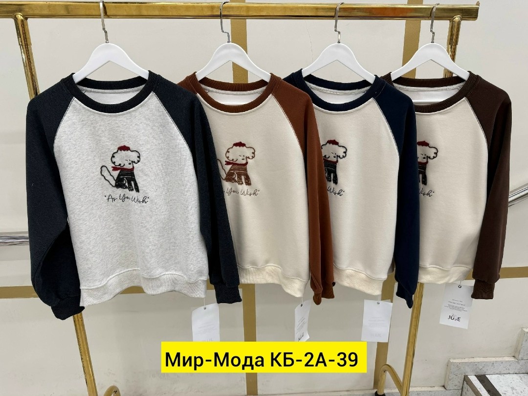 повседневный свитшот,свитшот для мальчика,свитшот женская,модные свитшоты,свободный свитшот