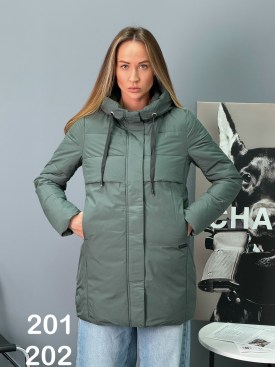 Верхняя одежда