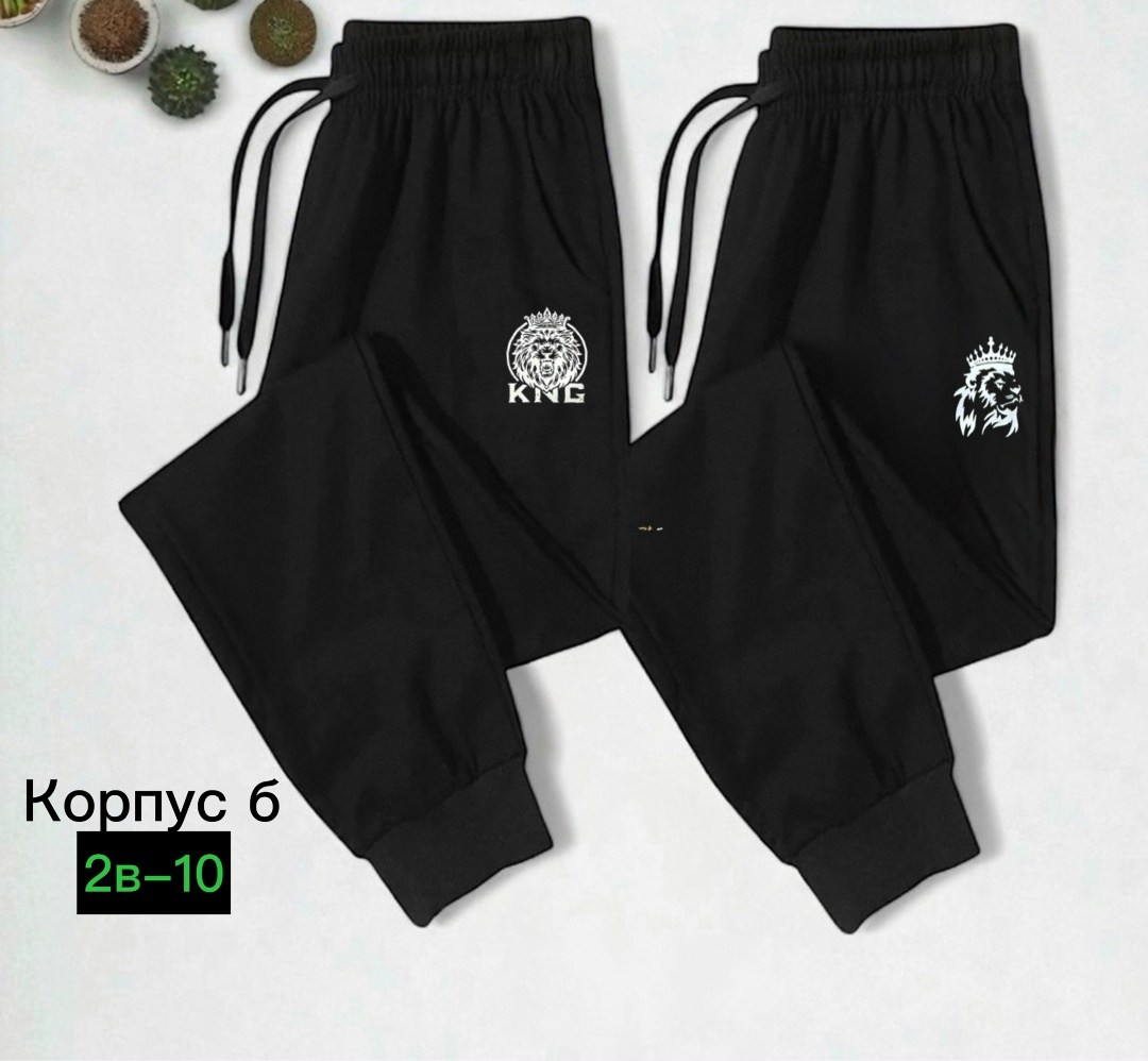 спортивные брюки для мужчин,штаны трико мужские найк,брюки спортивные мужские,спортивные брюки,спортивные штаны