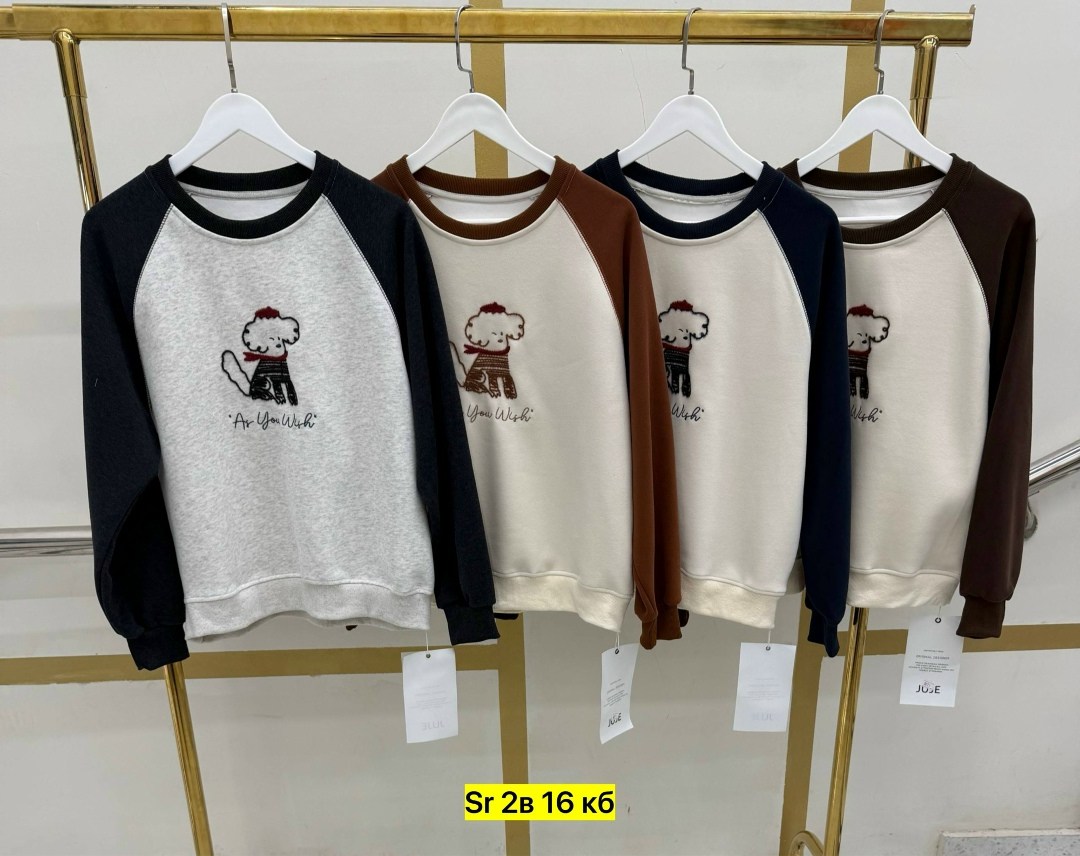 повседневный свитшот,свитшот мужская,свитшот для мальчика,женский свитшот,женская кофта