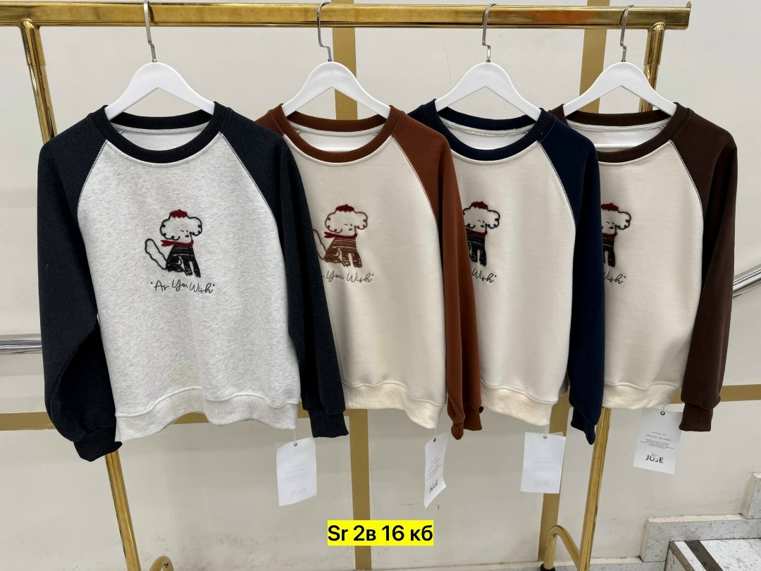 повседневный свитшот,свитшот мужская,свитшот для мальчика,женский свитшот,женская кофта