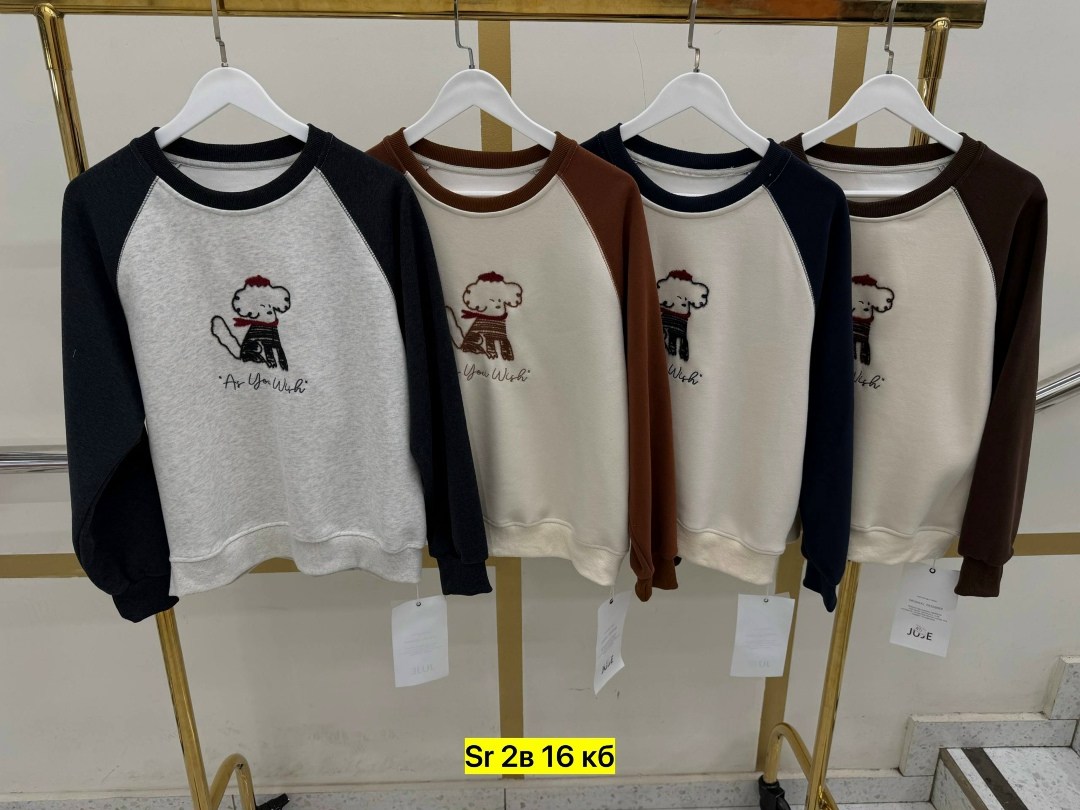 повседневный свитшот,свитшот мужская,свитшот для мальчика,женский свитшот,женская кофта