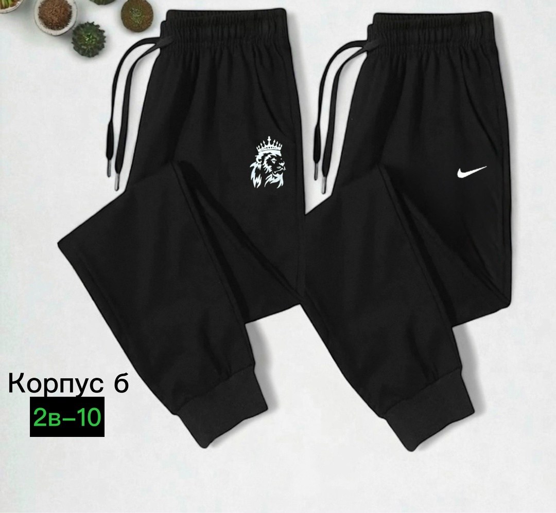 спортивные брюки для мужчин,штаны трико мужские найк,брюки спортивные мужские,спортивные брюки,спортивные штаны