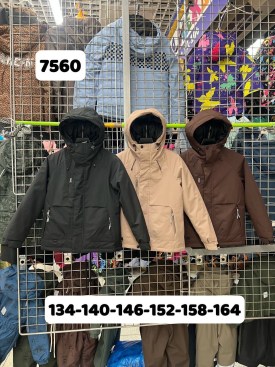 Верхняя одежда