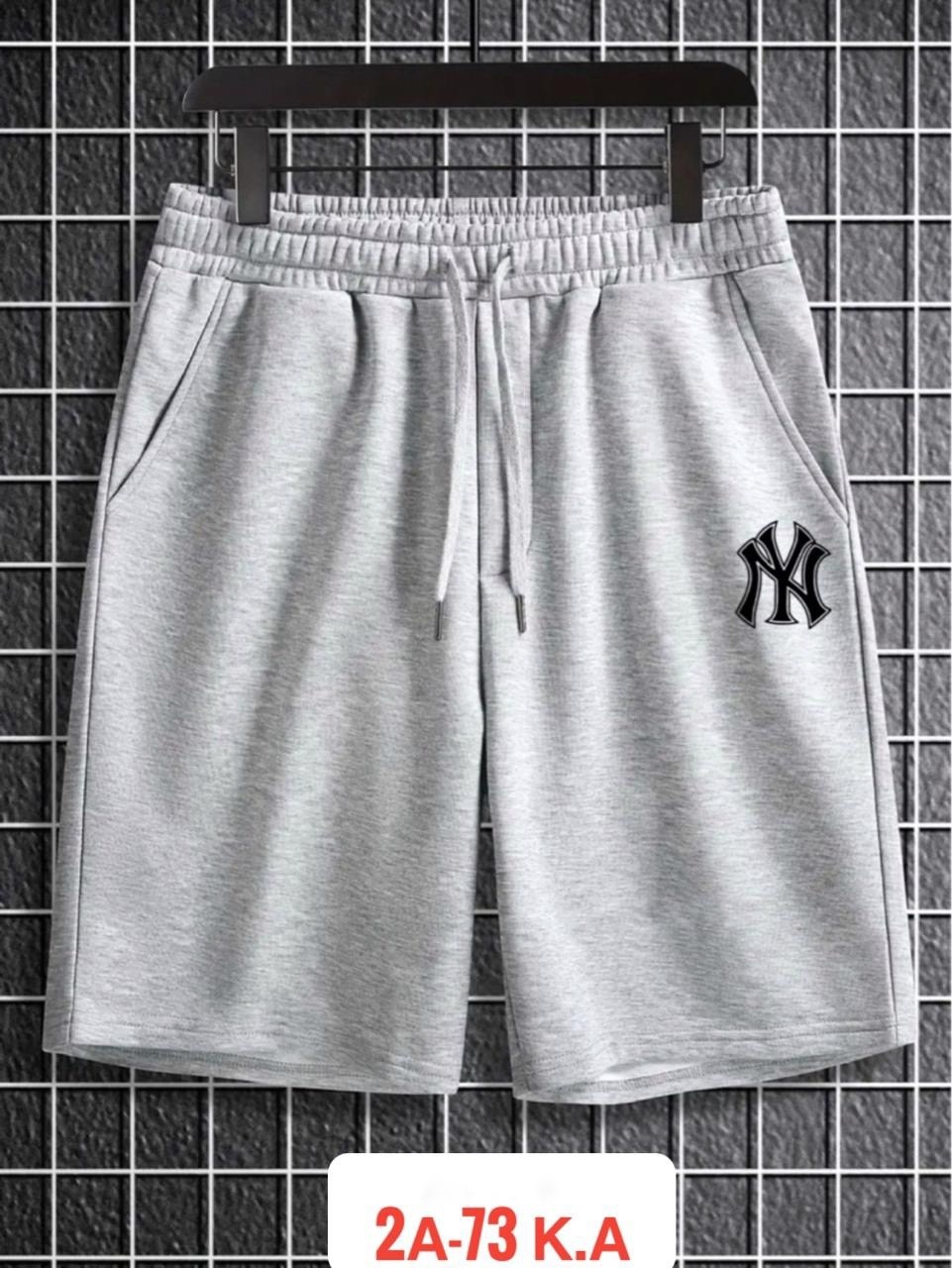 шорты мужские трикотажные,шорты мужские спортивные,шорты мужские,мужские шорты the north face standart short light,шорты the north face