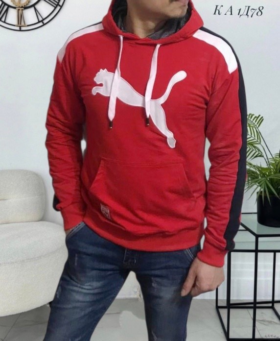 худи пума мужские с капюшоном,худи мужская puma,худи мужская nike,мужская толстовка,толстовка пума мужская