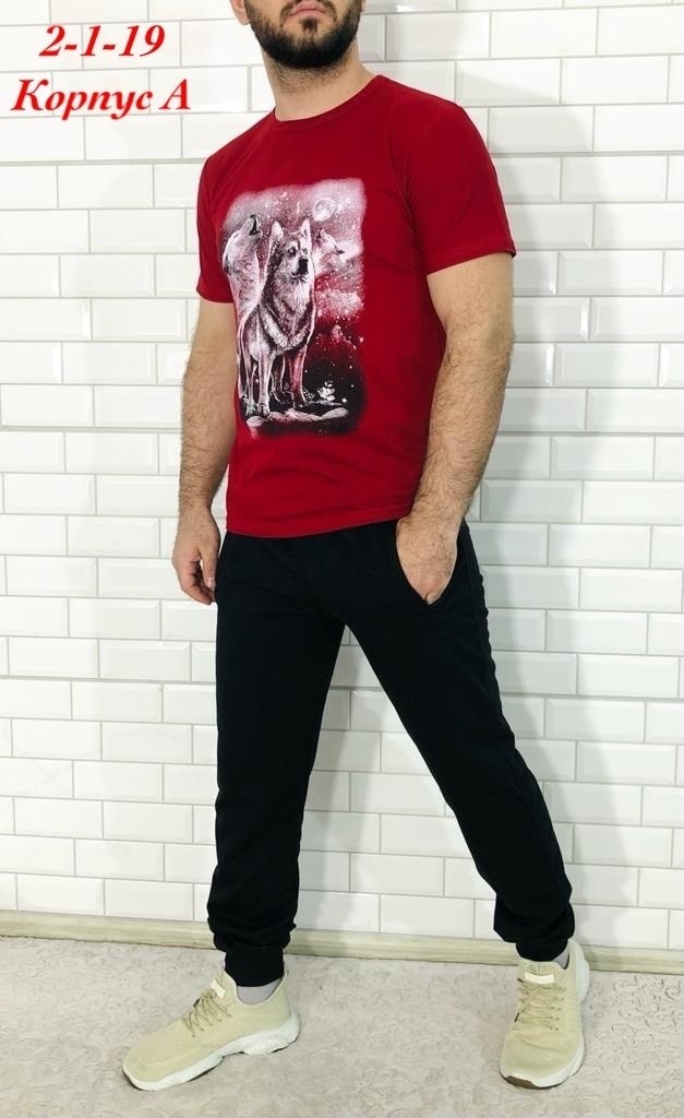 спортивный костюм мужской футболка,спортивные костюмы мужские,футболка и штаны,спортивные костюм,костюм футболка и брюки