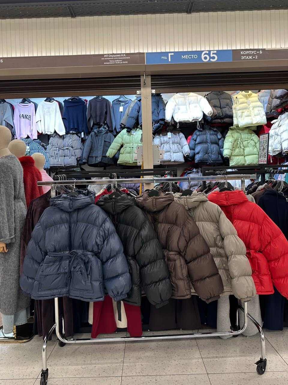 куртка зимняя женская,куртка с поясом,куртка пуховик,куртка оверсайз,куртка зимняя на кулисках shmatovashop 558148025