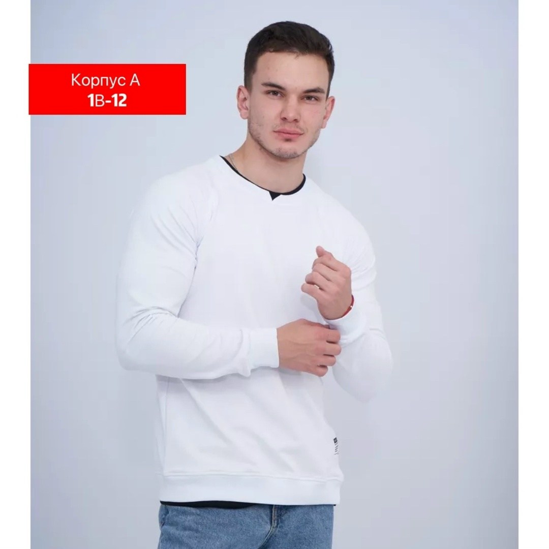 свитшот трикотажный,толстовки свитшот,свитшот однотонный,однотонная толстовка,толстовка мужская