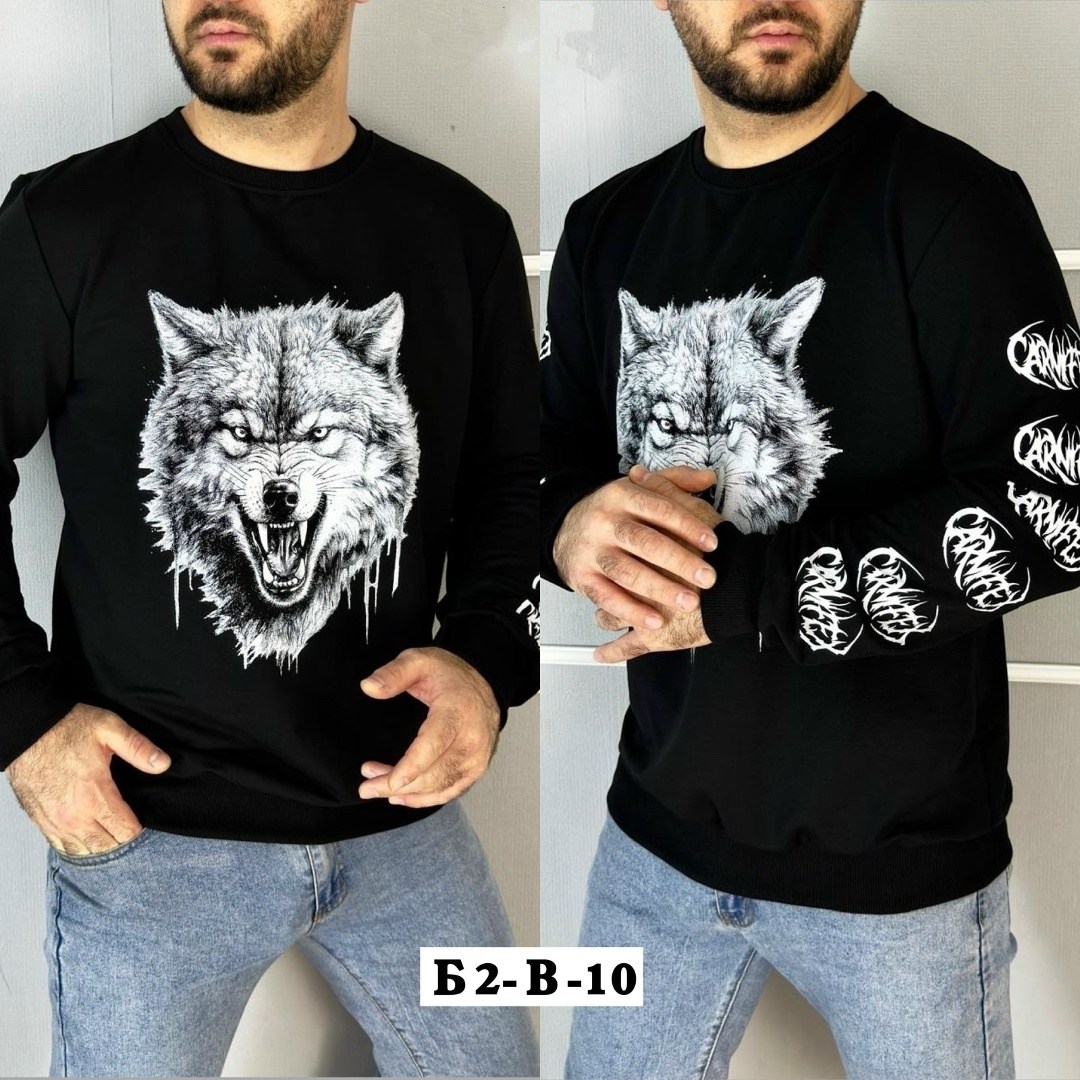 свитшот мужская,мужские свитшоты,толстовки свитшот,крой свитшот,свитшот мужской с принтом