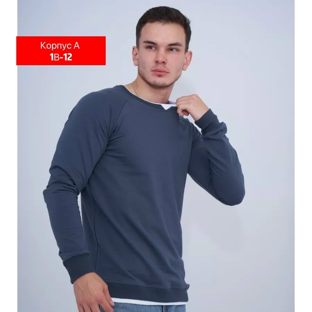 свитшот трикотажный,толстовки свитшот,свитшот однотонный,однотонная толстовка,толстовка мужская