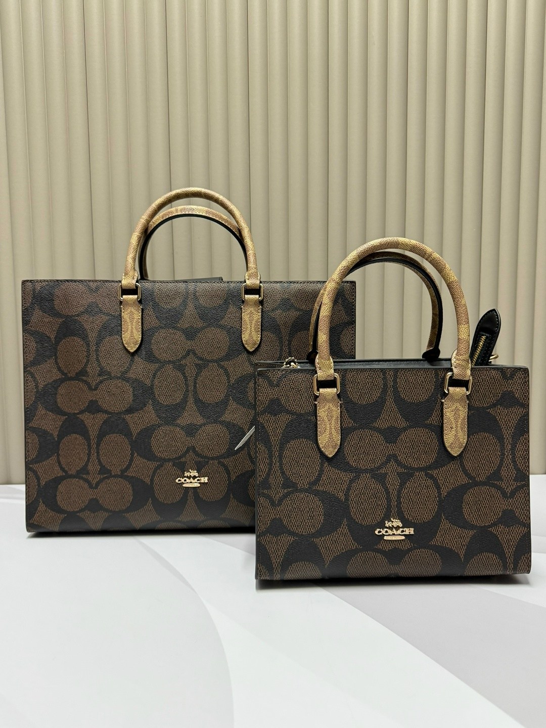 сумка coach,сумка женская coach,женская сумка шоппер coach,сумка,сумка тоут coach