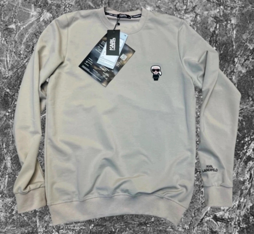 свитшот классический,трикотажный свитшот,брендовые свитшоты,свитшот,мужские свитшоты