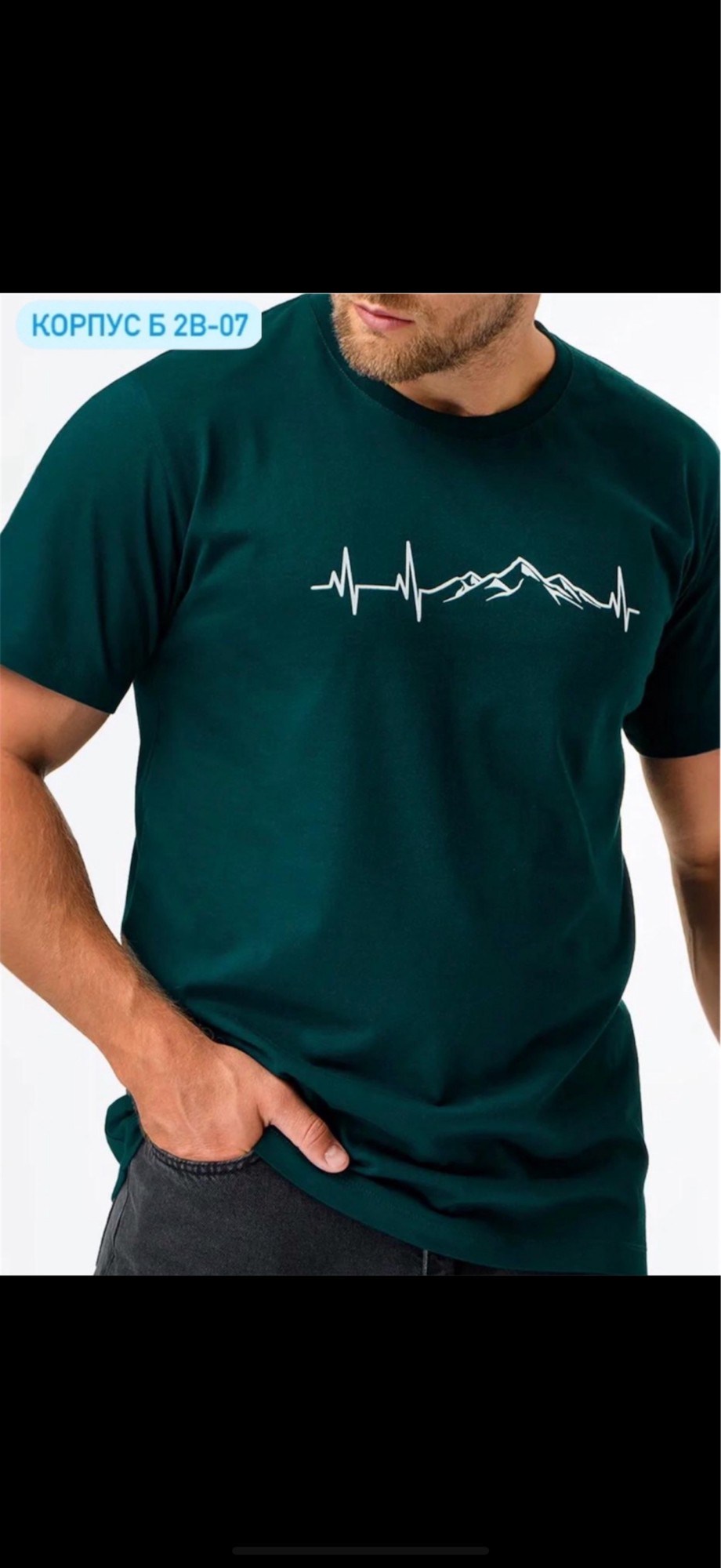 футболки мужские,футболки мужские с принтом,футболка горы,футболка,футболка happyfox для мужчин