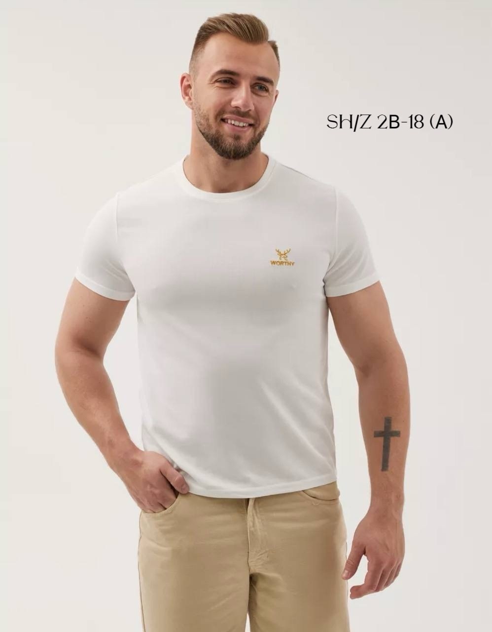 мужская футболка,футболка,футболки и майки,футболка с рисунком,мужская мода