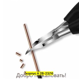 Одежда