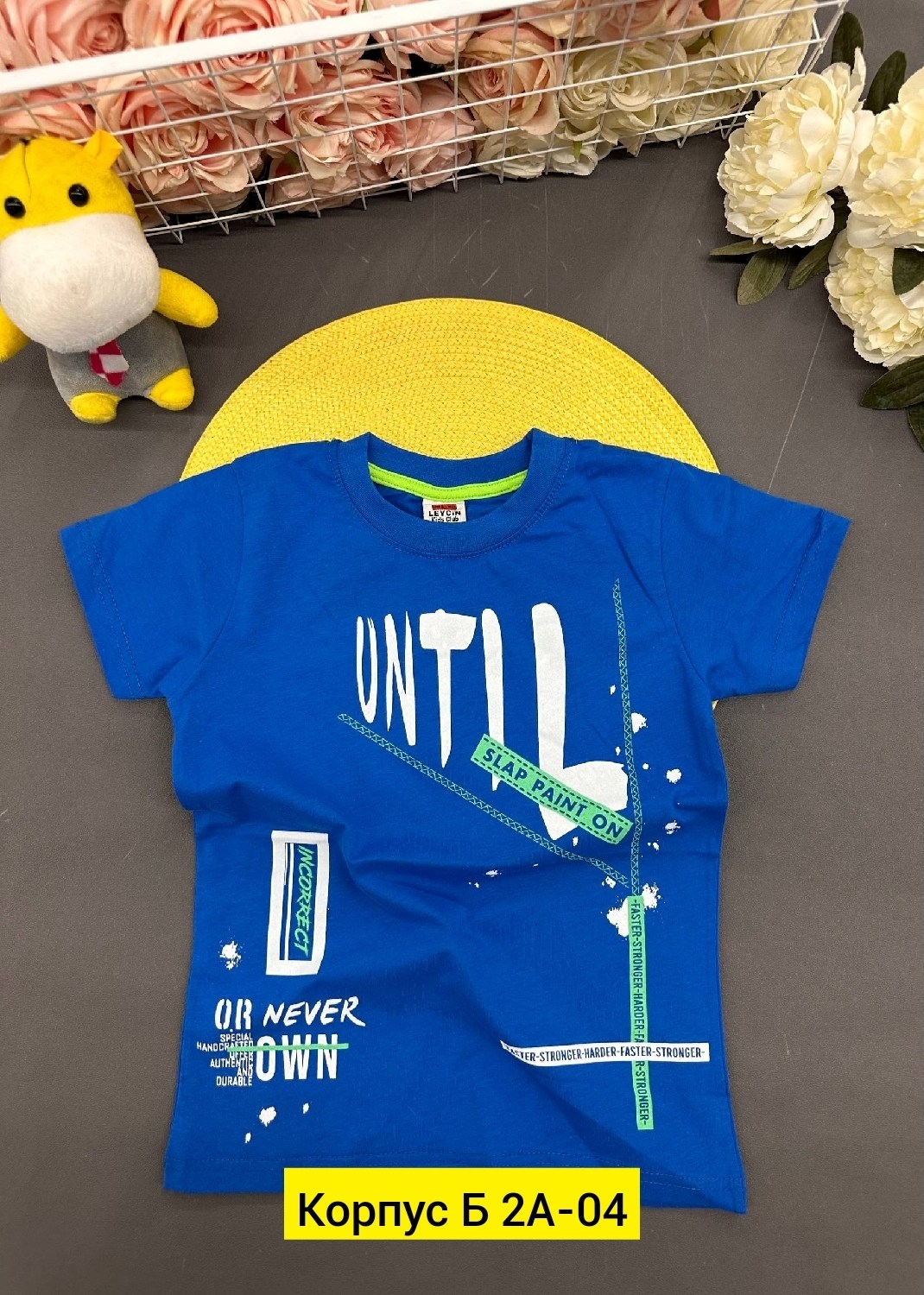 футболка для мальчиков,футболки детские,детская футболка,футболка для мальчика 5 лет,футболки для детей