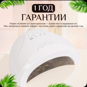 Одежда