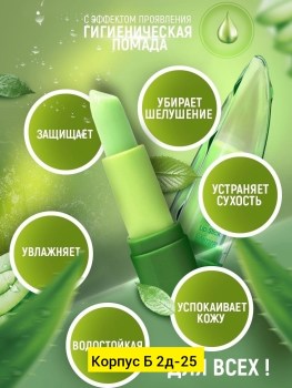 Одежда