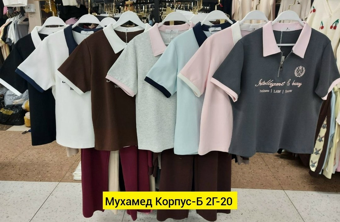 женская кофта с воротником,женская кофта,женские футболки,женская футболка поло,одежда для женщин