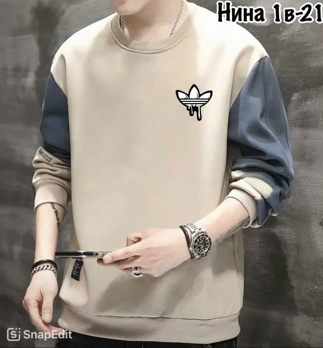 повседневный свитшот,толстовка в стиле,мужские свитшоты,толстовки для мужчин,свитшот мужская