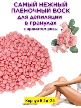 Одежда