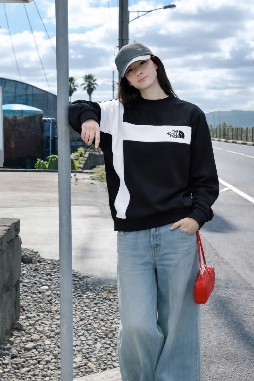 толстовка the north face,свитшот the north face,свитшот женская,свитшот,кофта the north face