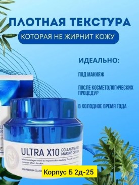Одежда