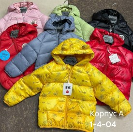 Верхняя одежда