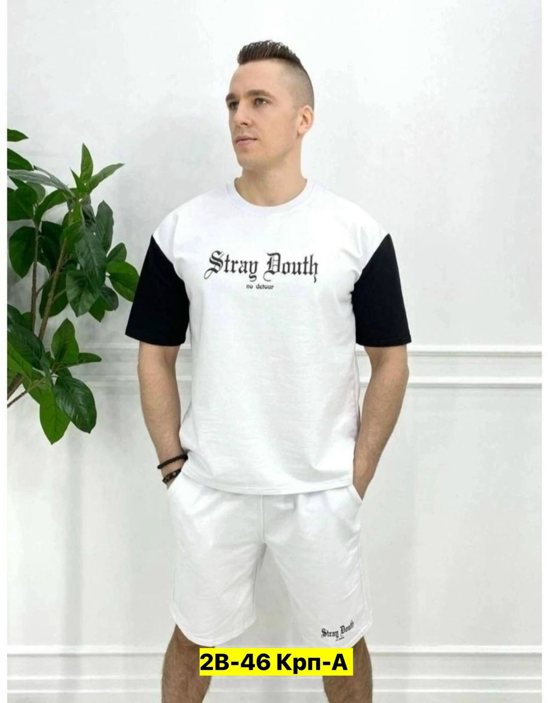 костюм спортивный летний с футболкой и шортами,костюм с шортами и футболкой спортивный летний мужской,мужской спортивный костюм с шортами и футболкой,спортивные костюм,костюм мужской с шортами и футбо