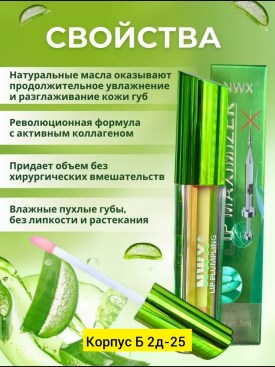 Одежда