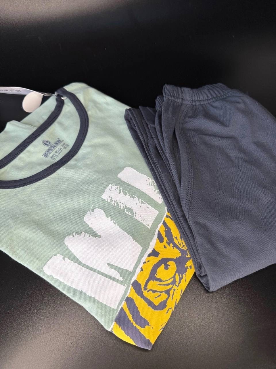 пижама для мальчика,пижама комплект,детская пижама,пижама детская со штанами для мальчиков комплект,пижама детская со штанами для мальчика