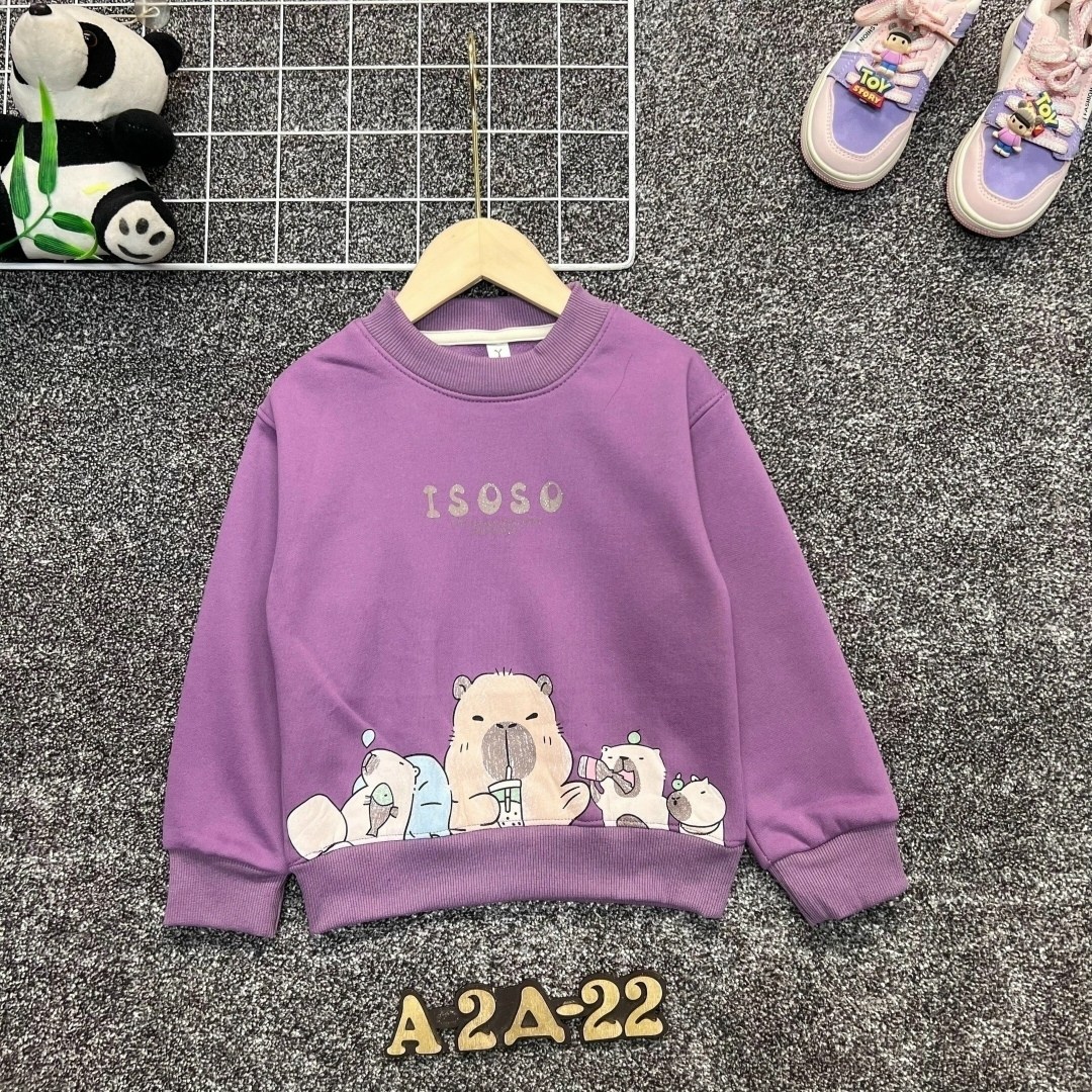 толстовка с начесом детская,свитшот для мальчиков,детская кофта,толстовка с начесом,cвитшот для девочки