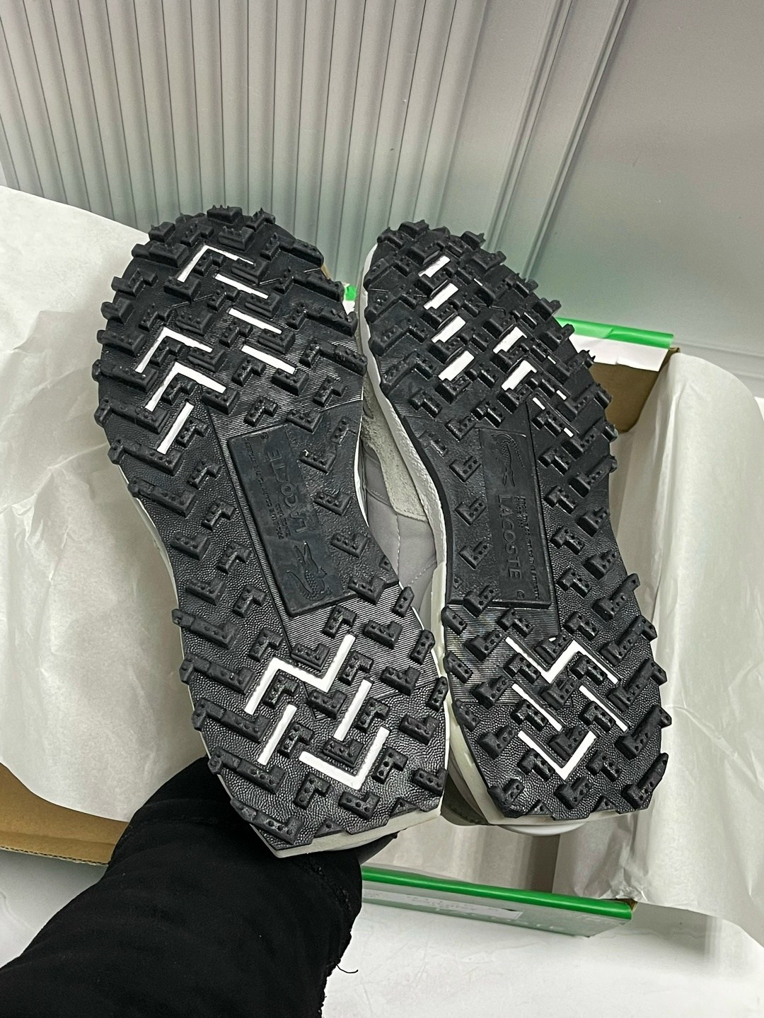 кроссовки lacoste,кроссовки lacoste elite active,мужские кроссовки lacoste,спортивная ,кроссовки