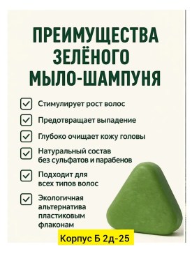 Одежда