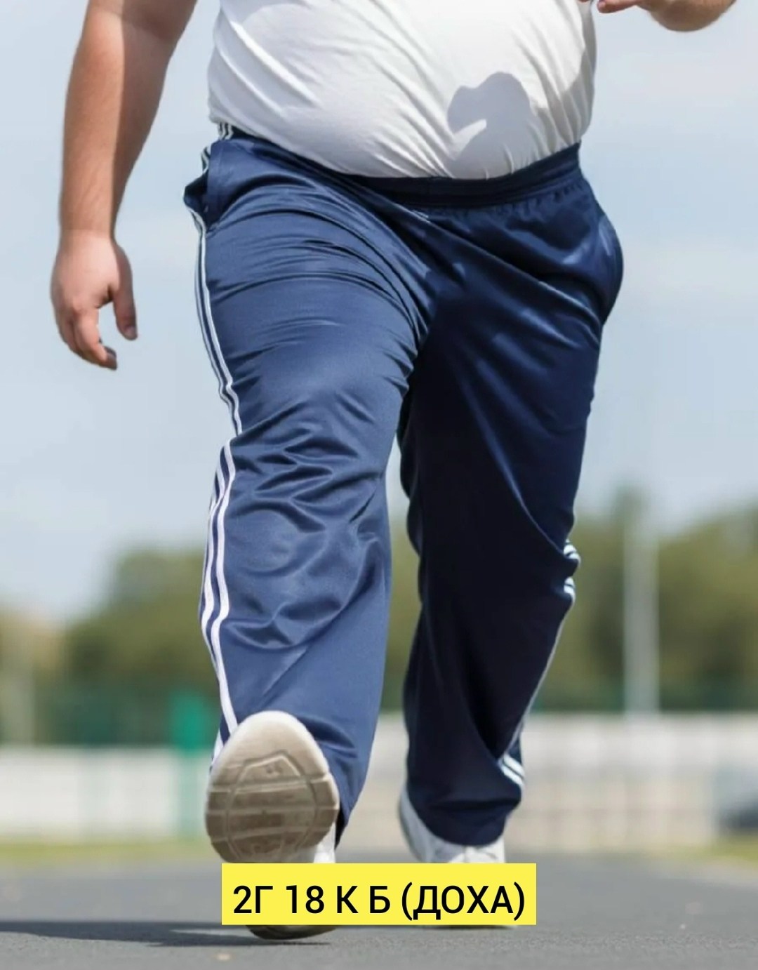 брюки спортивные cinoptik большие размеры,спортивные брюки мужские,брюки спортивные,брюки спортивные gefeng мужской,штаны спортивные мужские