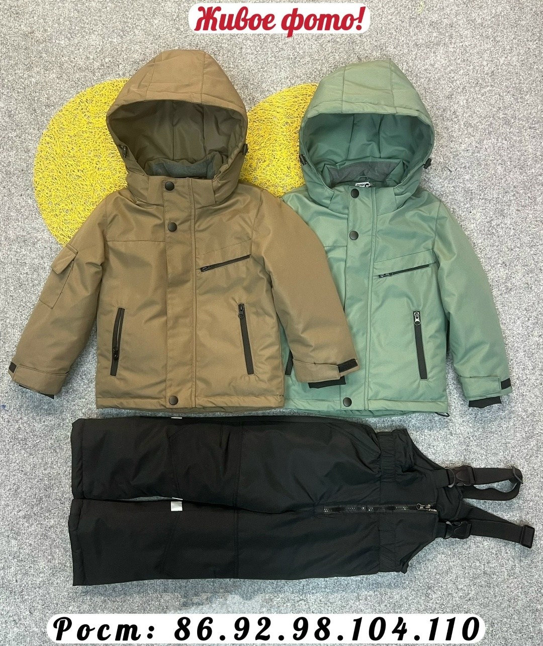детский зимний костюм,костюм детский,зимний костюм для мальчика,демисезонный костюм для мальчика,костюм весенний