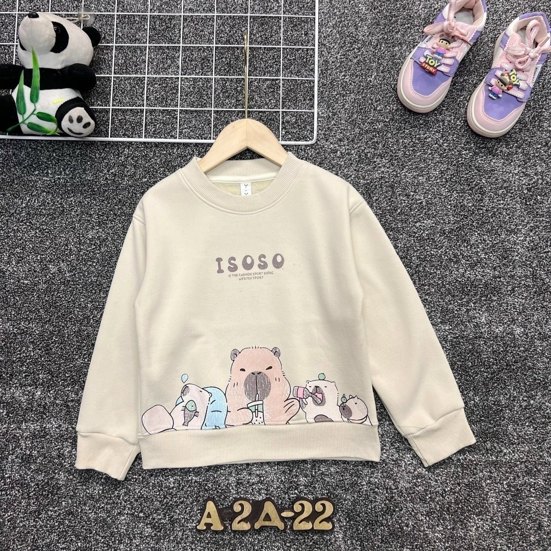 толстовка с начесом детская,свитшот для мальчиков,детская кофта,толстовка с начесом,cвитшот для девочки