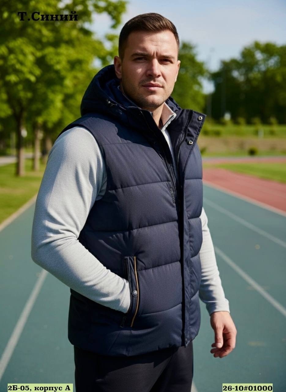 жилетка мужская черная,жилетка утепленный,мужской утепленный жилет,жилетка демисезонная мужская,жилетка мужская утепленная с капюшоном