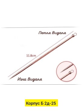 Одежда