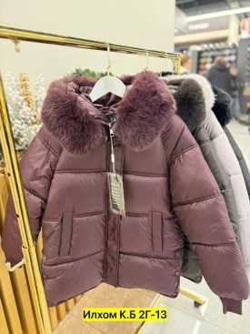 Верхняя одежда