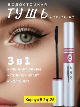 Одежда