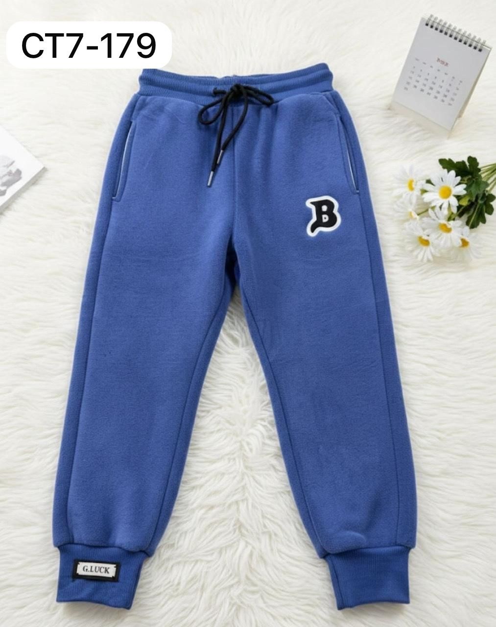 спортивные штаны,штаны теплые,штаны на флисе,штаны с начесом,джоггеры на флисе