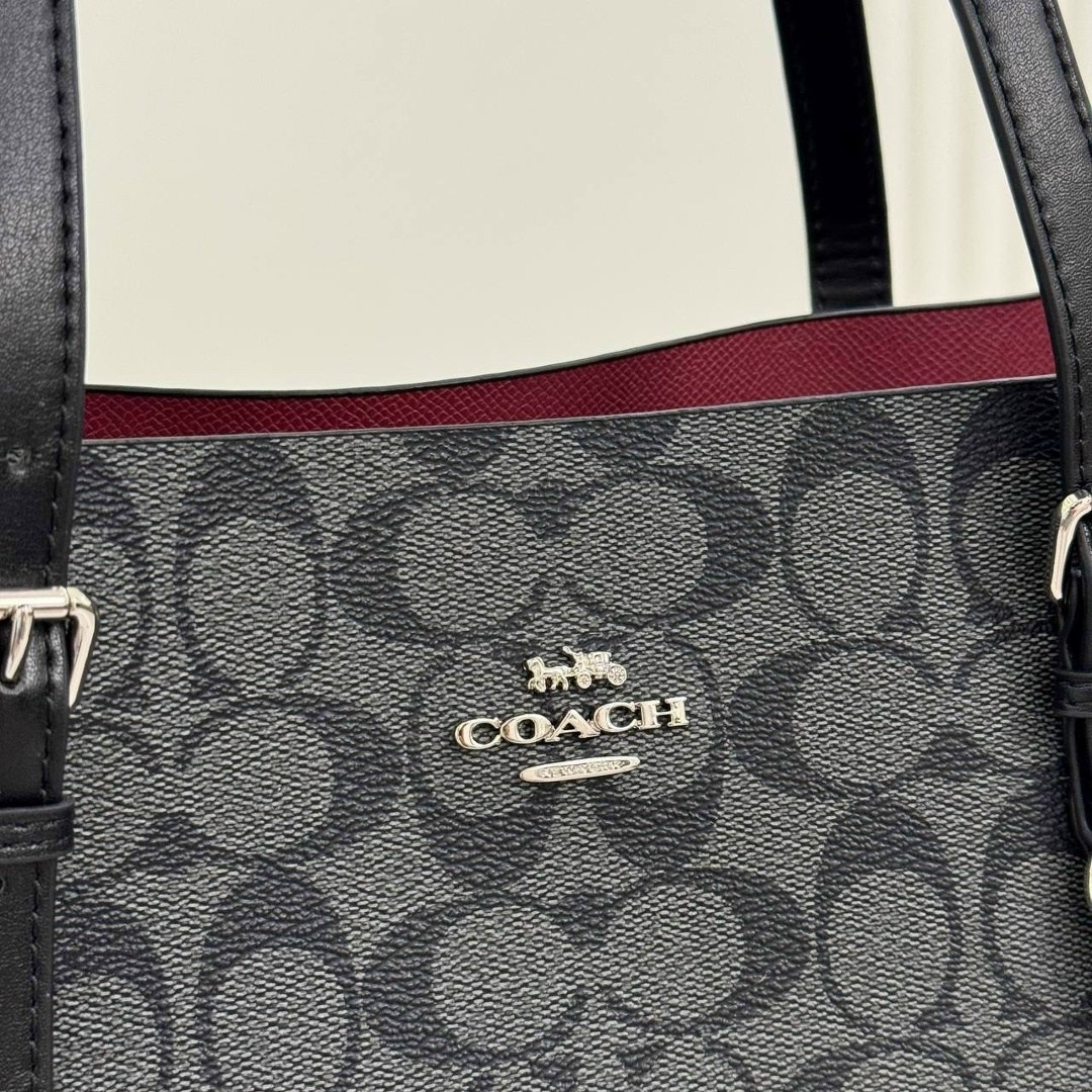 сумка-шоппер coach,coach mollie tote in signature canvas,сумка coach женская,сумка coach,шоппер coach