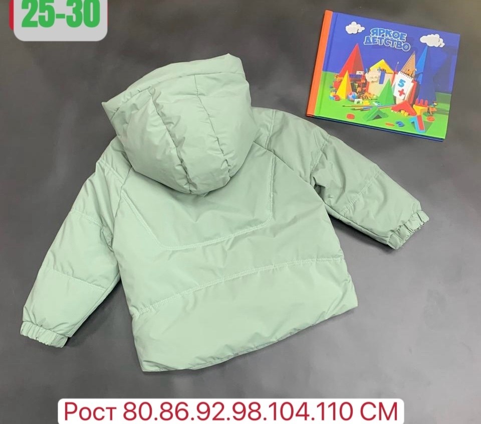 куртка демисезонная,куртка для девочек,куртка демисезонная для девочек,куртка,детская куртка