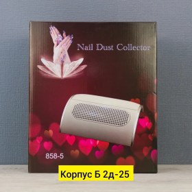 Одежда